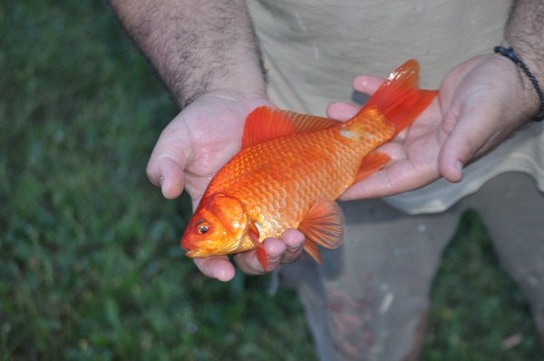 DSC_1026.JPG