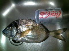 02042011123.jpg
