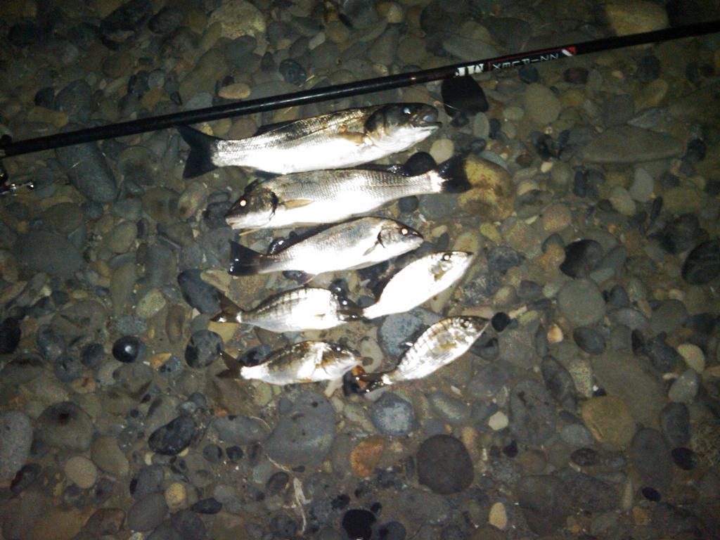 IMG00071-20110402-2334.jpg