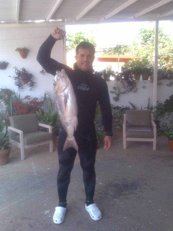 cotsios 2.jpg