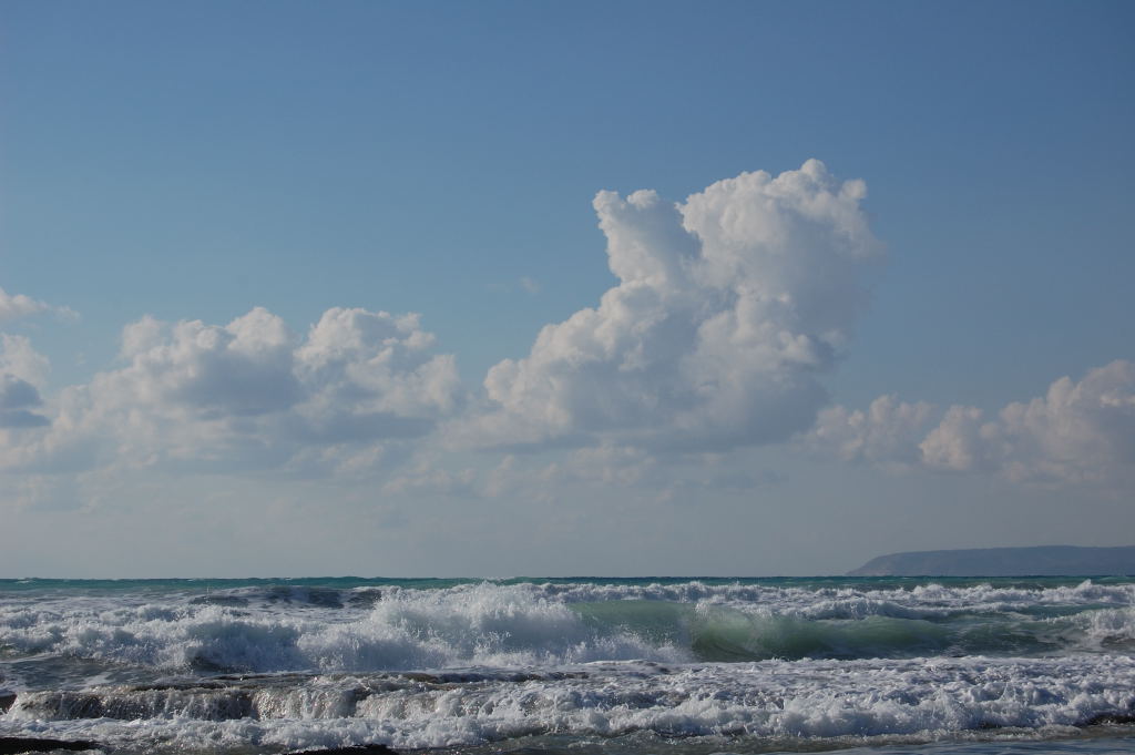 DSC_00230001.JPG