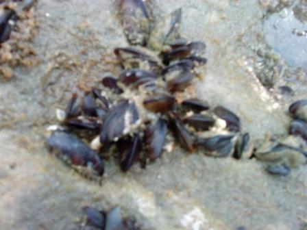 DSC01179.JPG