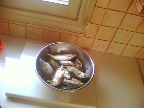 Picture0050.jpg
