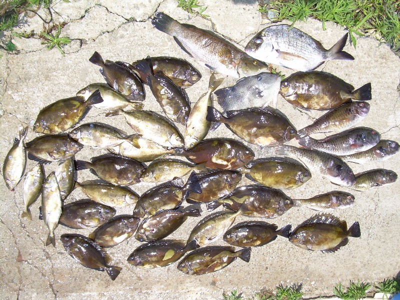 DSCN1098.JPG