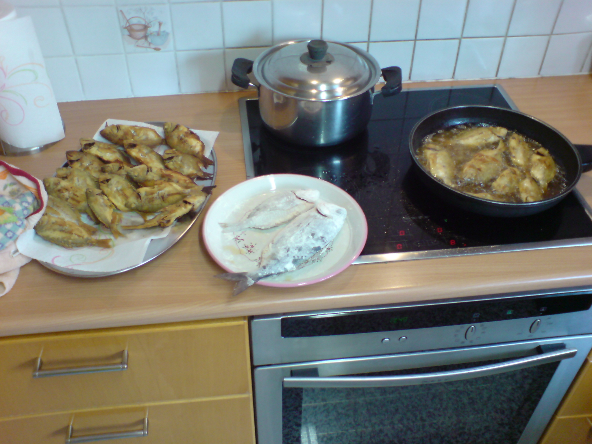 DSC00293.JPG