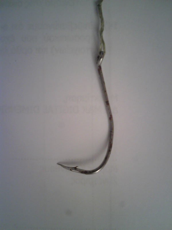 DC110727002.jpg