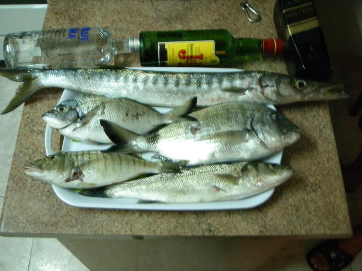 loutsos+.JPG