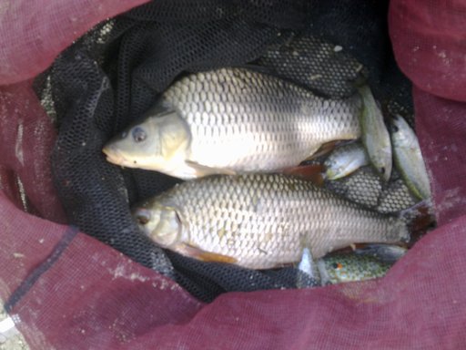 rsz_04092011251.jpg