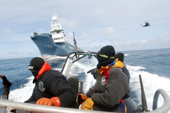 Sea_Shepherd_strikes_the_Yishiin_Maru_No2_thumb.jpg