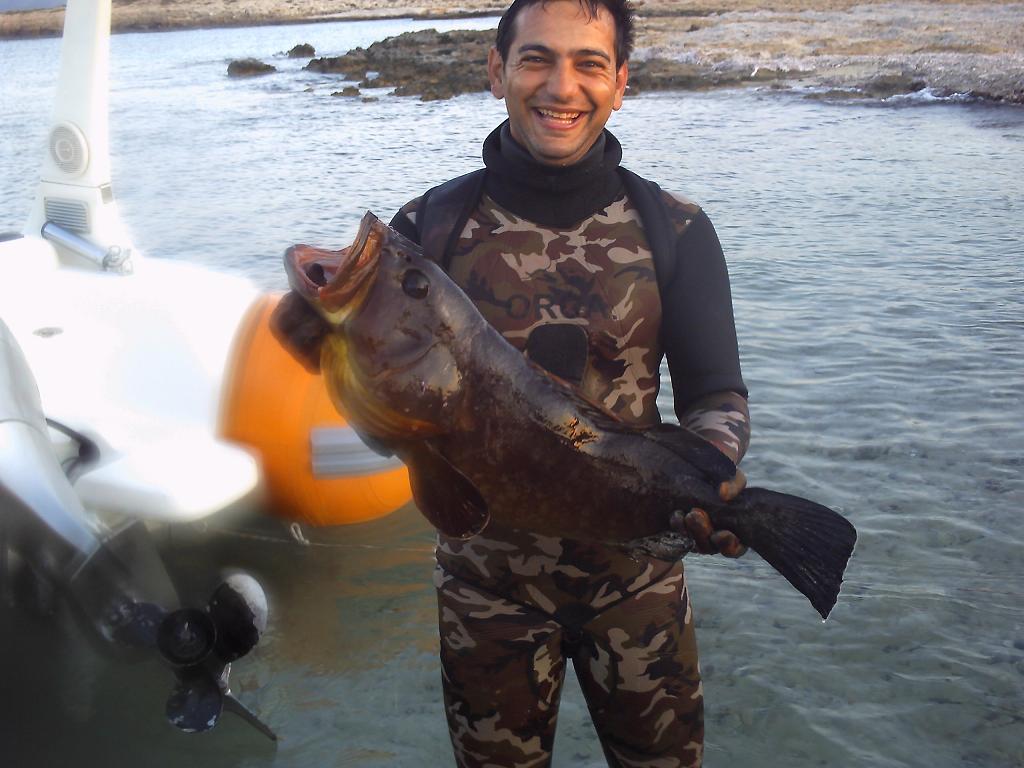 orfos 7kg.JPG