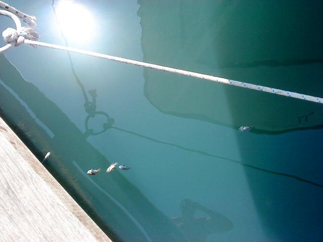 DSC01536.JPG