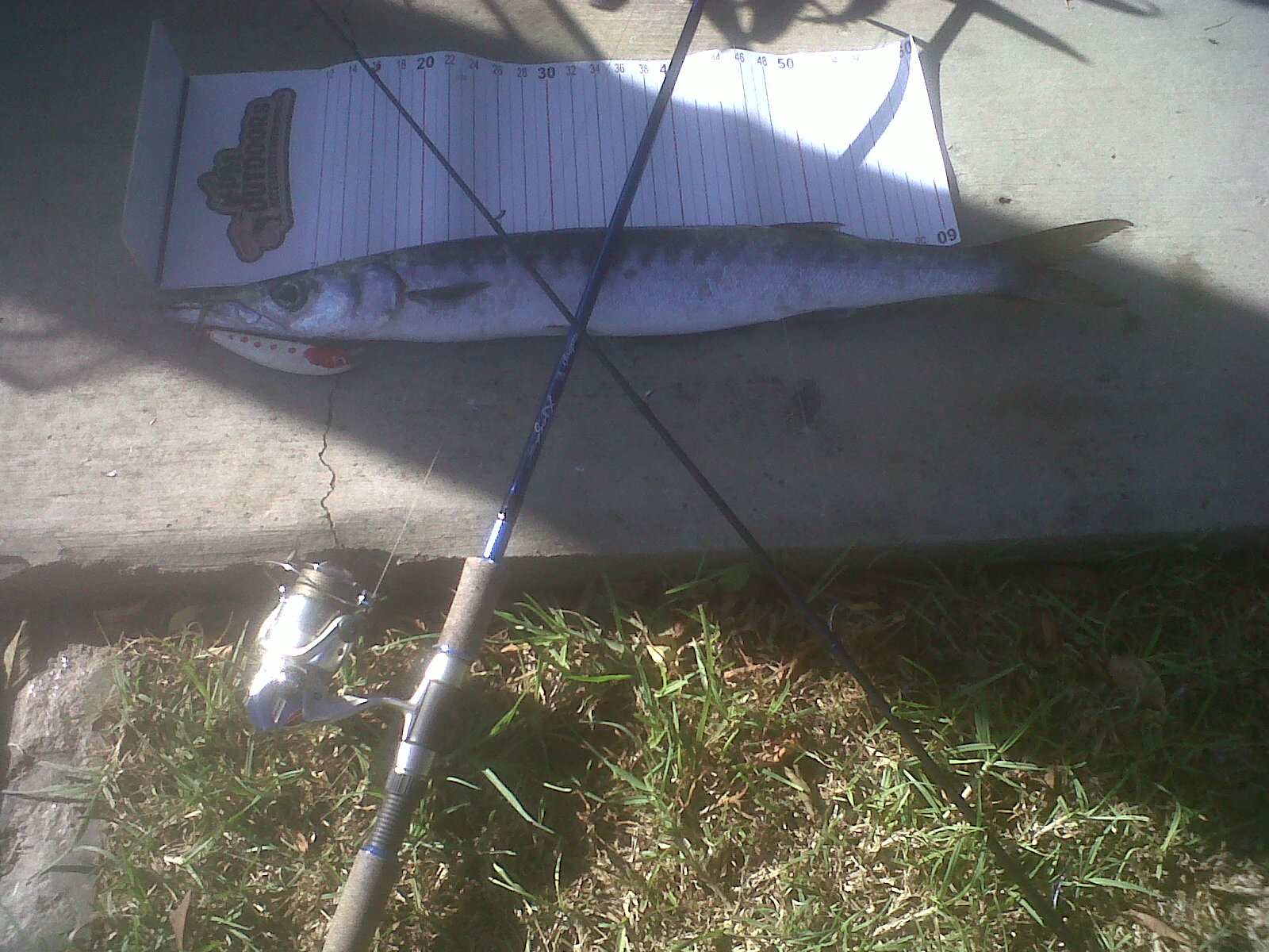 loutsaros 1300 me kapws motifarismeno minnow!!!me ligi fantasia irthe kai o loutsos!!