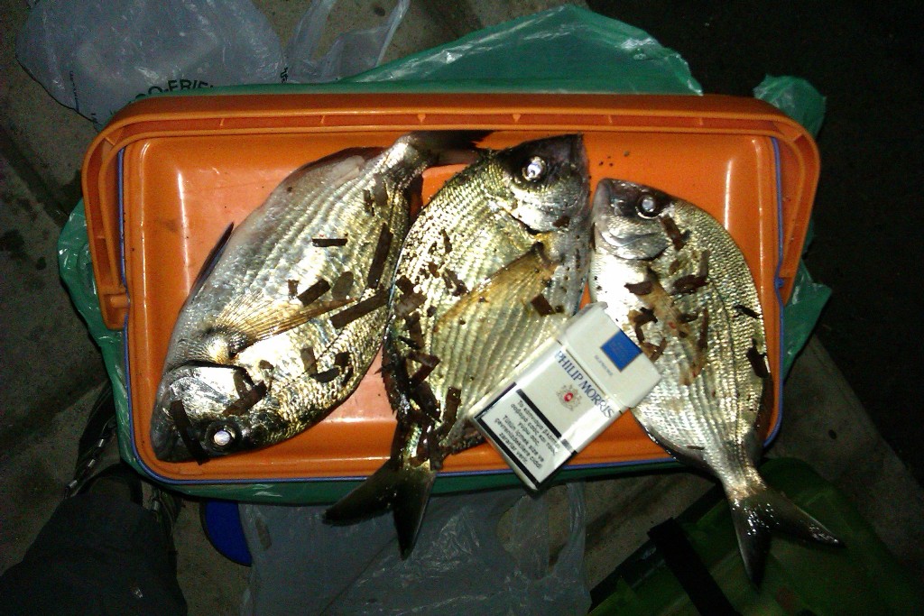 IMAG01732.jpg