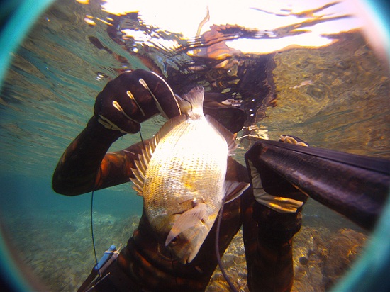 GOPR039.jpg