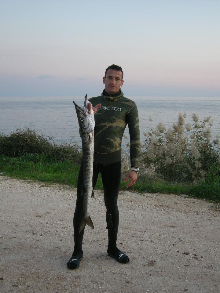 Barracuda3935.jpg