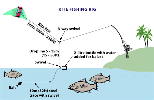 kite-fishing-rig.GIF