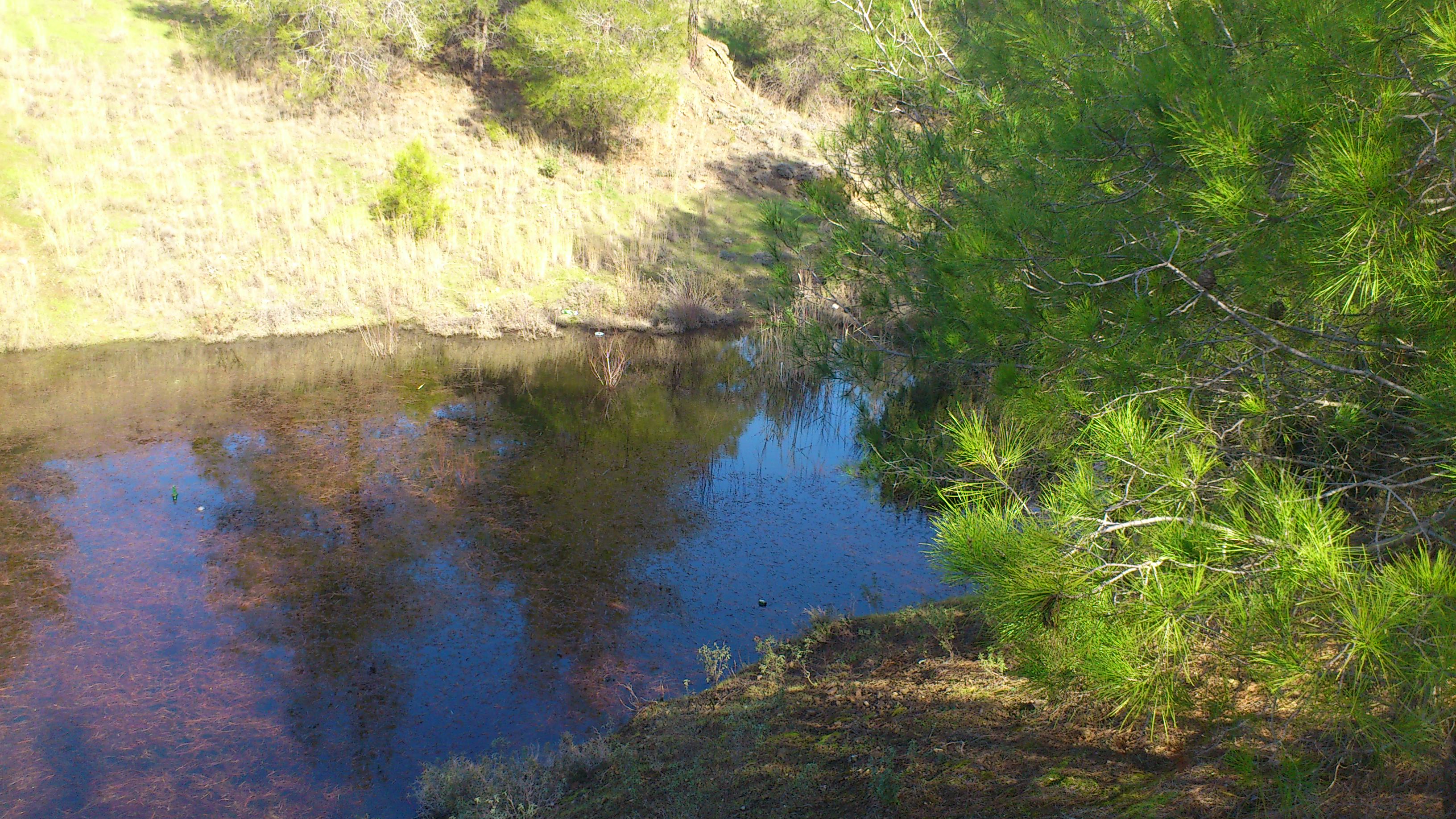 DSC_0079.JPG