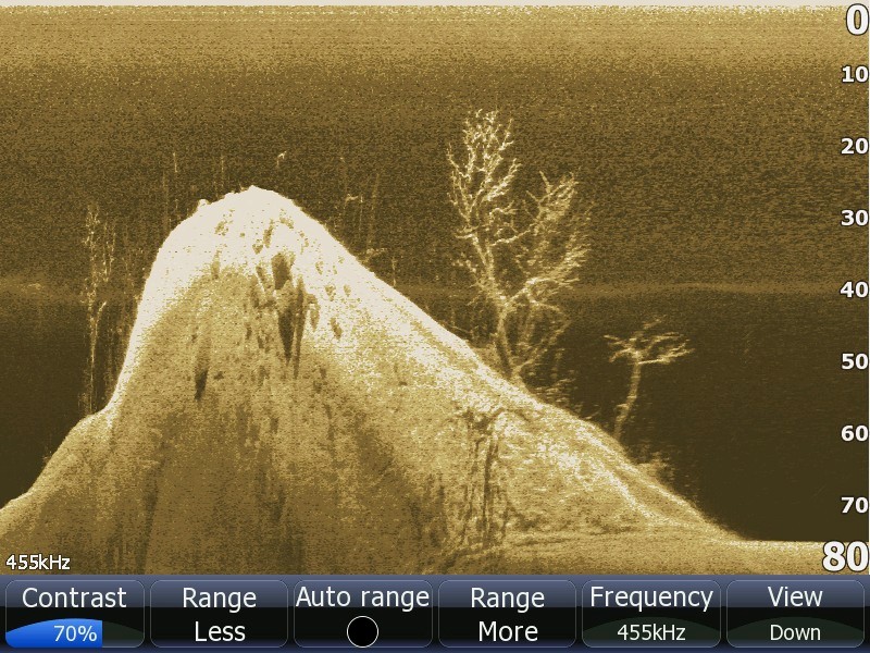 fishtec lowrance downscan 455kHz.jpg