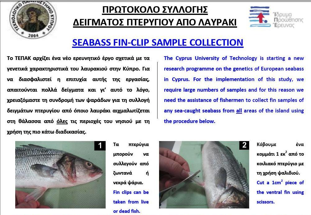 seabass1.JPG