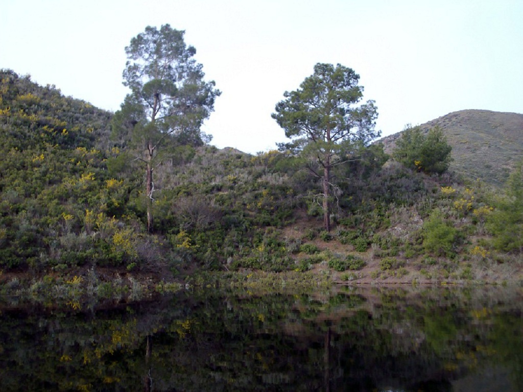 IMGP0848.JPG