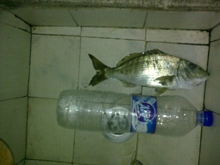 12042012276.jpg