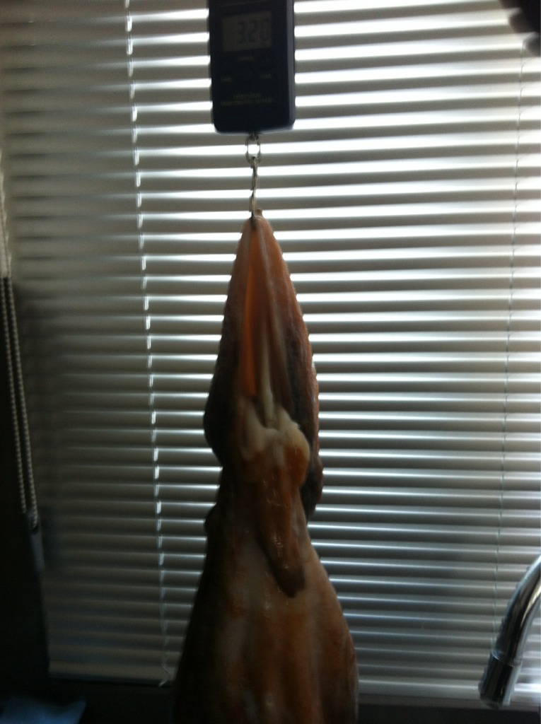 ImageUploadedByTapatalk1335617197.889008.jpg