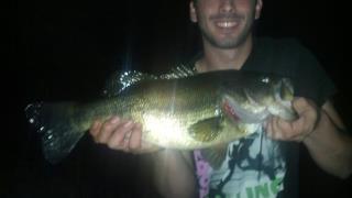 lake monsters