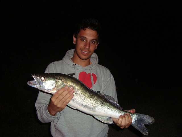 DSC02384.JPG