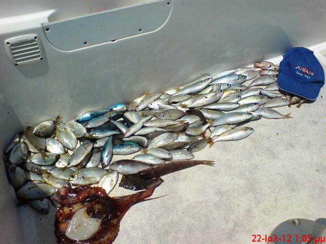 DSC00046 - Copy.JPG
