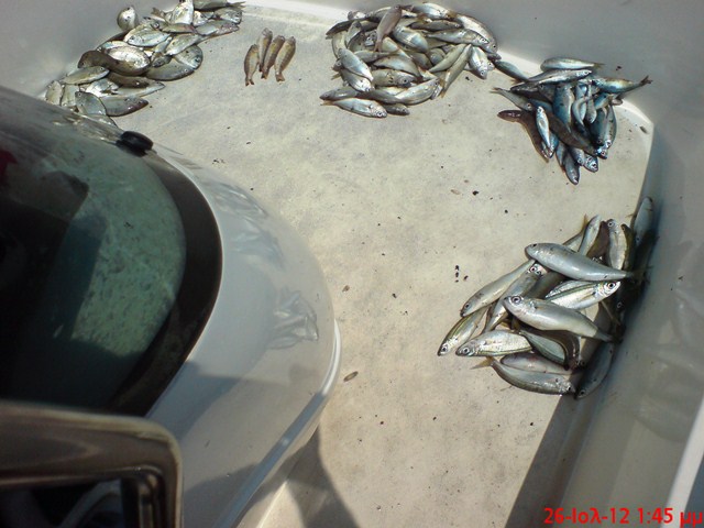 DSC00059 - Copy.JPG