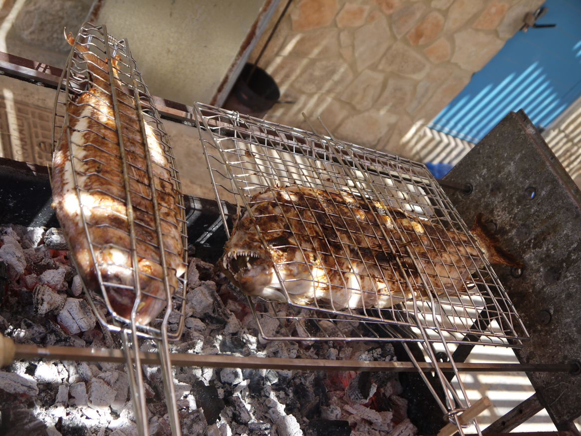P1040555.jpg