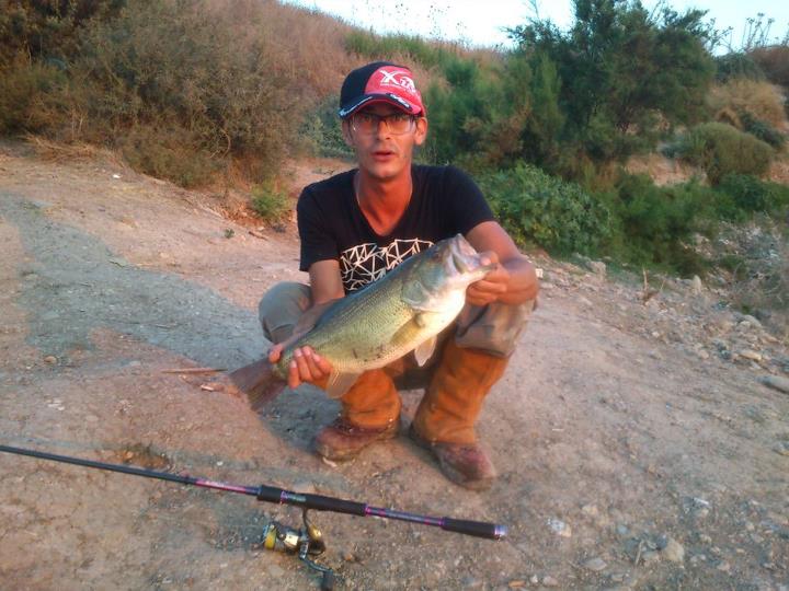 bass1.jpg