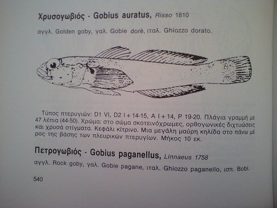 1.JPG