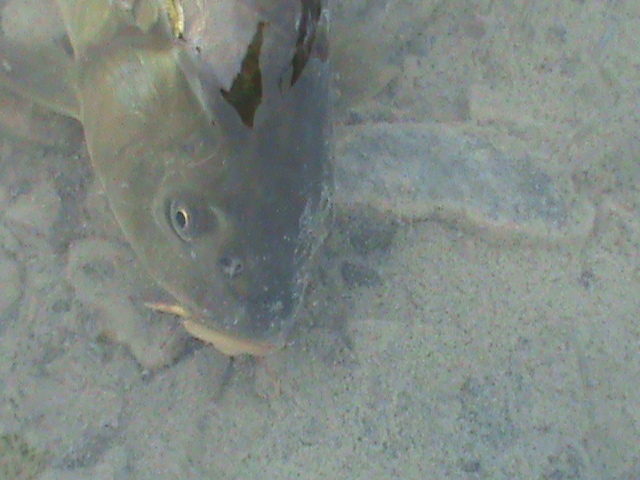 DSC00341.JPG