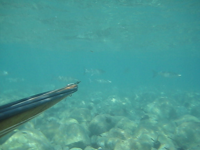 vlcsnap-10281.jpg