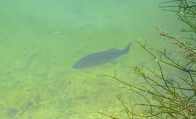 Photo0318.jpg