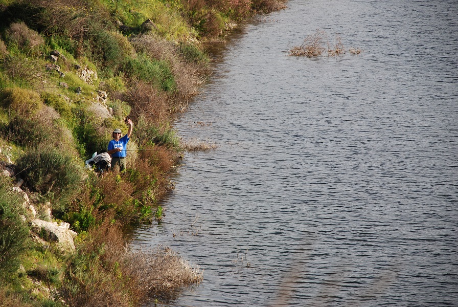 DSC_0303.jpg