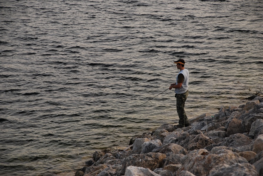 DSC_0308.jpg