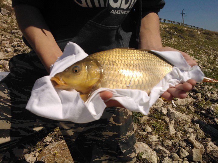kiprinos 750.....24-3-13... achna dam....jpg