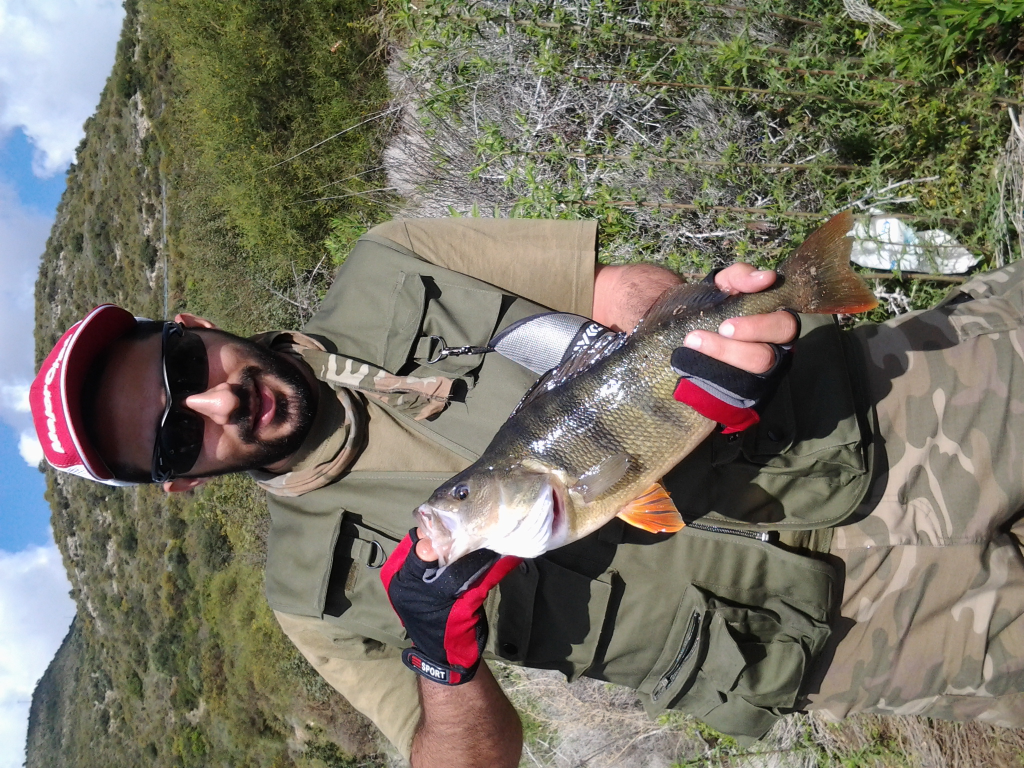 1.1KG perch