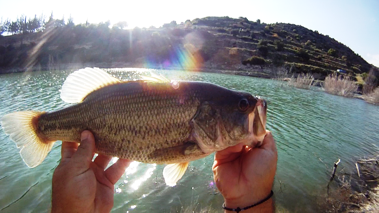 vlcsnap-2013-04-27-21h15m09s247.png