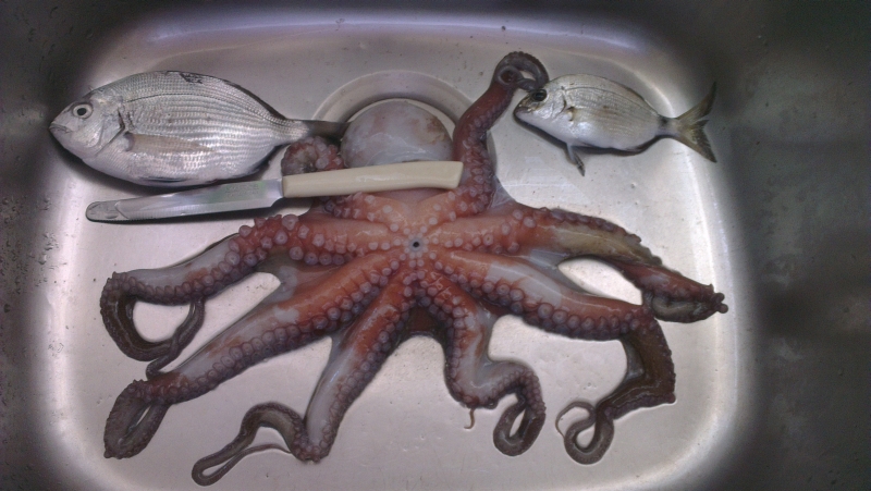 IMAG0055-21-07-2013.jpg